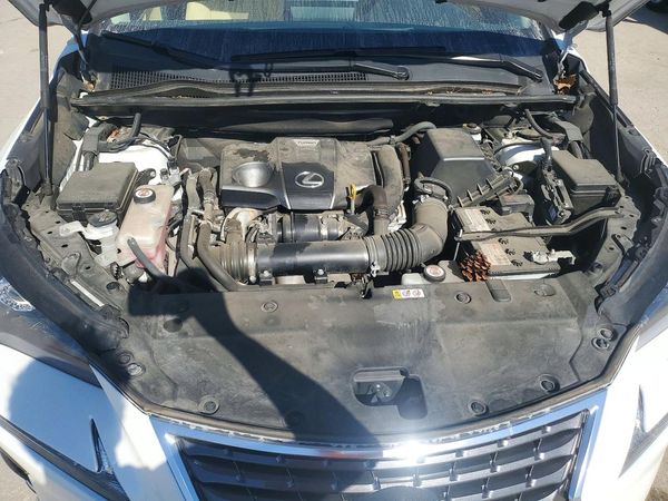 2021 LEXUS NX 300 300 Comfort — Engine bay