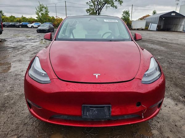 2024 TESLA MODEL Y — DIRF