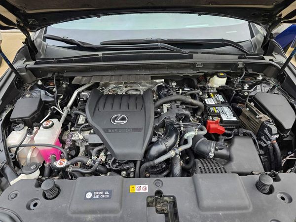 2023 LEXUS NX 350 Luxury