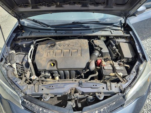 2018 TOYOTA COROLLA L/LE/SE/XLE/XSE — Engine bay