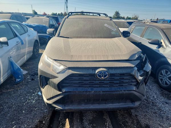 2024 TOYOTA RAV4 XLE — DIRF