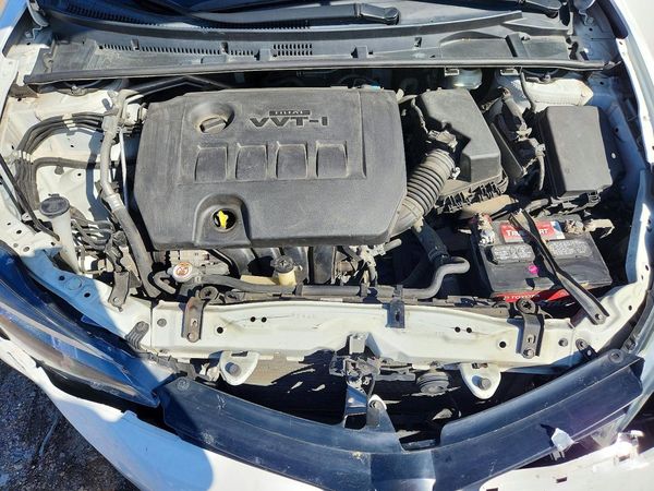 2019 TOYOTA COROLLA L/LE/SE/XLE/XSE — Engine bay