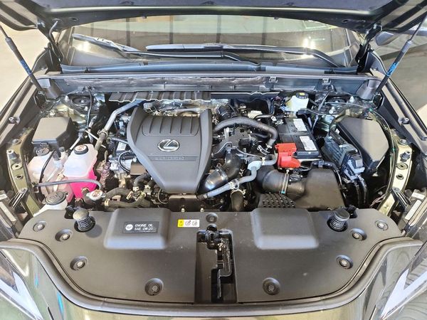 2026 LEXUS NX 350 Premium — Engine bay