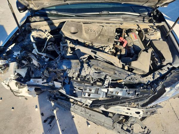 2019 TOYOTA CAMRY L/LE/SE/XLE — Engine bay