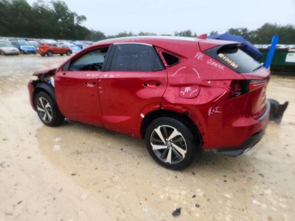 2019 LEXUS NX 300 300 Luxury — DSRA