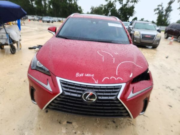 2019 LEXUS NX 300 300 Luxury — DIRF