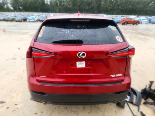2019 LEXUS NX 300 300 Luxury — DIRR