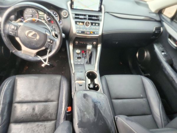 2019 LEXUS NX 300 300 Luxury — CKPT