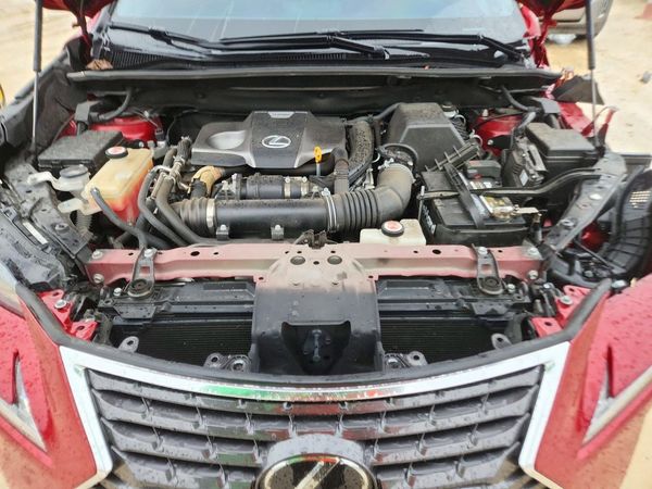 2019 LEXUS NX 300 300 Luxury — Engine bay