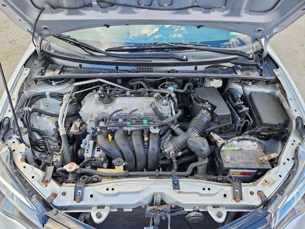 2019 TOYOTA COROLLA L/LE/SE/XLE/XSE — Engine bay