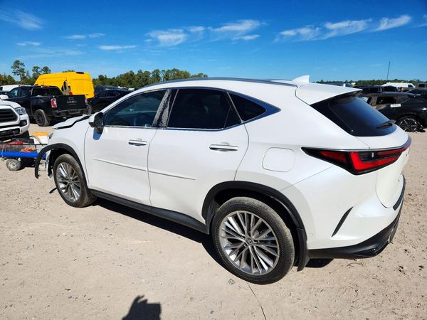2025 LEXUS NX 350h Luxury — DSRA
