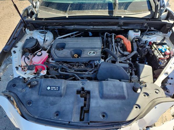 2025 LEXUS NX 350h Luxury — Engine bay