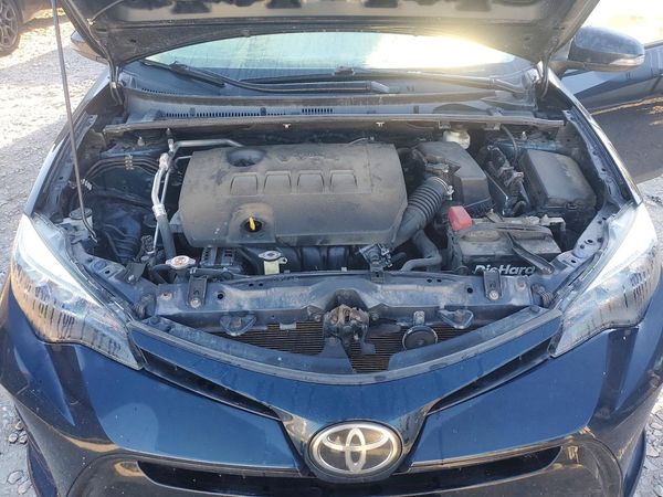 2019 TOYOTA COROLLA L/LE/SE/XLE/XSE — Engine bay