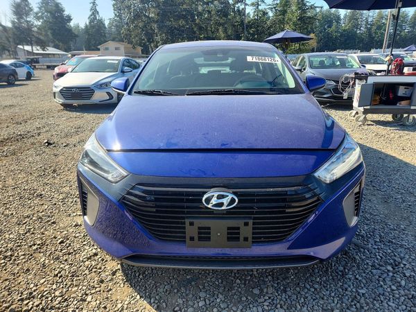 2019 HYUNDAI IONIQ Blue (HEV) — DIRF