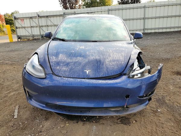 2021 TESLA MODEL 3 — DIRF