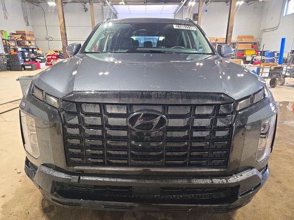 2025 HYUNDAI PALISADE XRT — DIRF