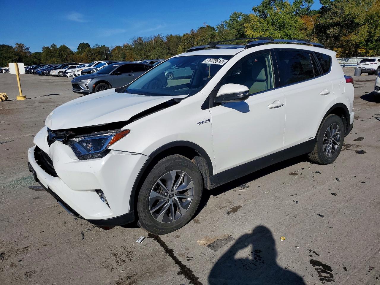 2018 TOYOTA RAV4 LE Plus/XLE — Front 3/4