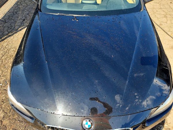 2016 BMW 328 xDrive — Engine bay
