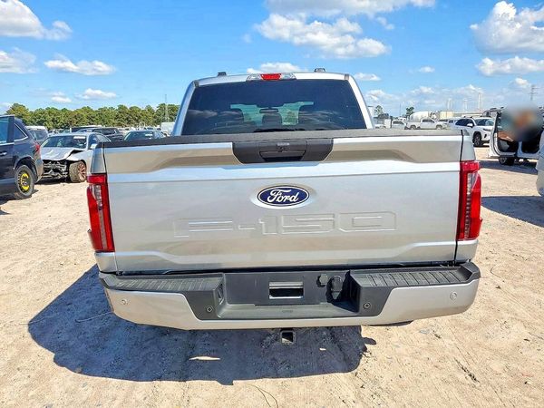 2025 FORD F150 — DIRR