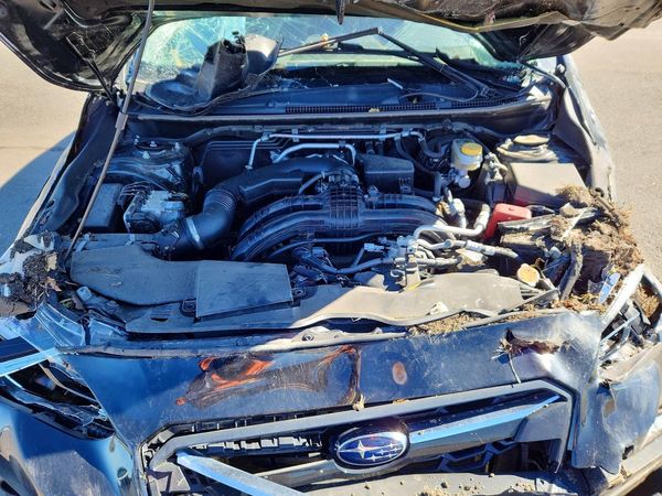 2019 SUBARU CROSSTREK Limited+ES+BSD+NAVI — Engine bay