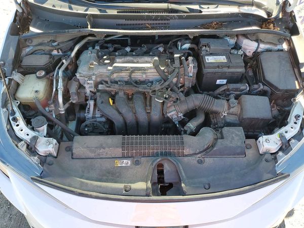 2020 TOYOTA COROLLA LE — Engine bay