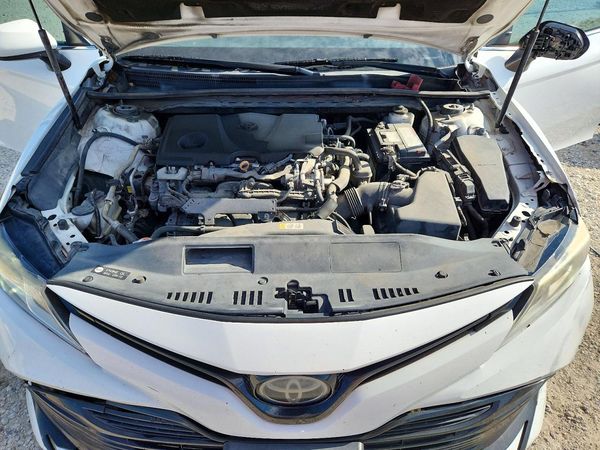 2019 TOYOTA CAMRY L/LE/SE/XLE — Engine bay