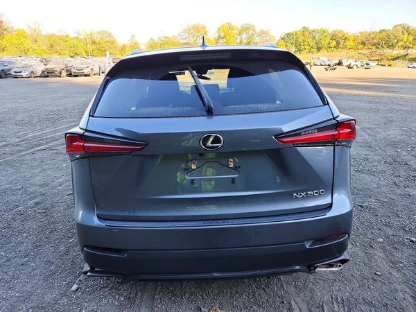 2021 LEXUS NX 300 300 Premium — DIRR