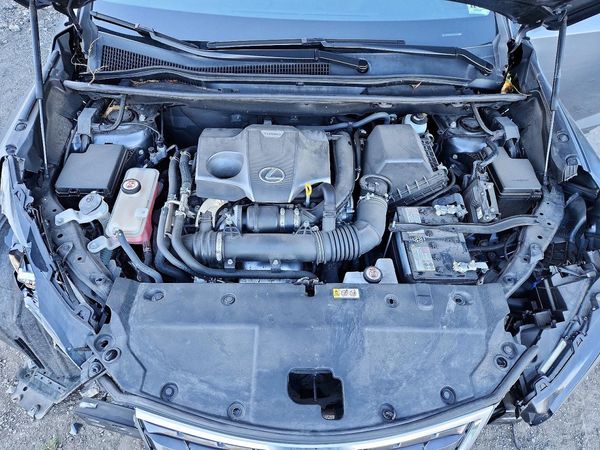 2021 LEXUS NX 300 300 Premium — Engine bay