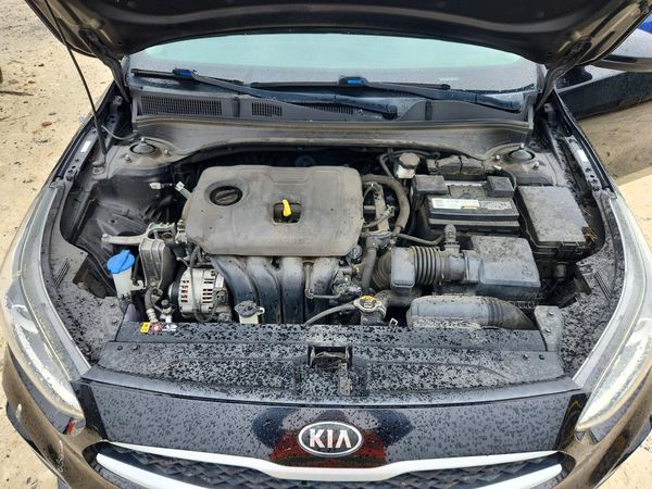 2019 KIA FORTE FE/LX/LXS — Engine bay