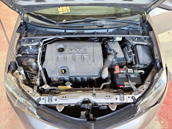 2019 TOYOTA COROLLA L/LE/SE/XLE/XSE — Engine bay