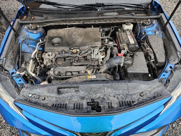 2019 TOYOTA CAMRY L/LE/SE/XLE — Engine bay