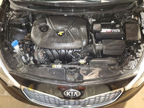 2015 KIA FORTE GL(Middle-low grade) — Engine bay