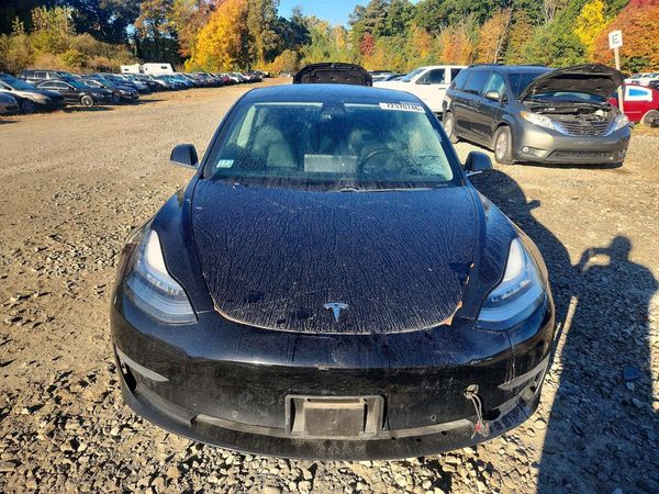 2019 TESLA MODEL 3 — DIRF