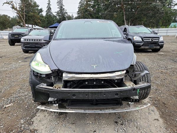 2023 TESLA MODEL Y — DIRF