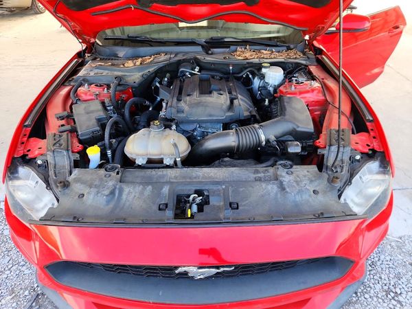 2019 FORD MUSTANG I4 Coupe — Engine bay