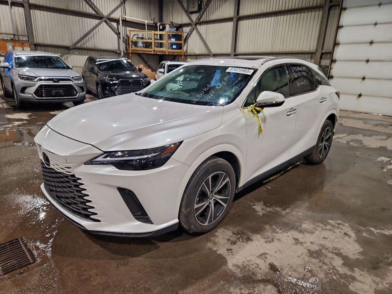 2024 LEXUS RX
