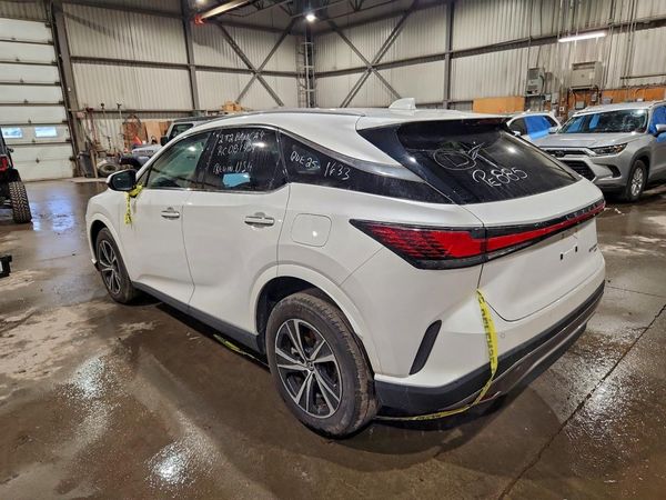 2024 LEXUS RX