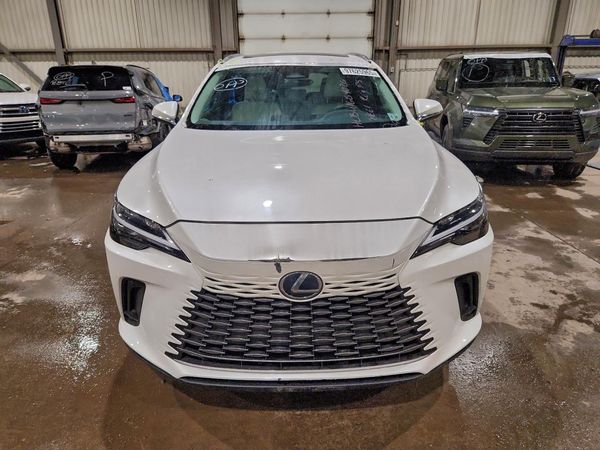 2024 LEXUS RX