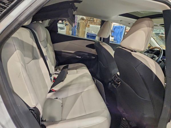 2024 LEXUS RX