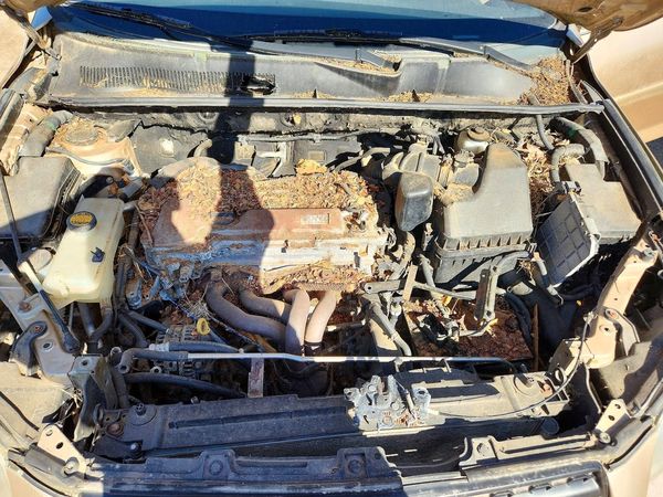 2012 TOYOTA RAV4 Standard — Engine bay