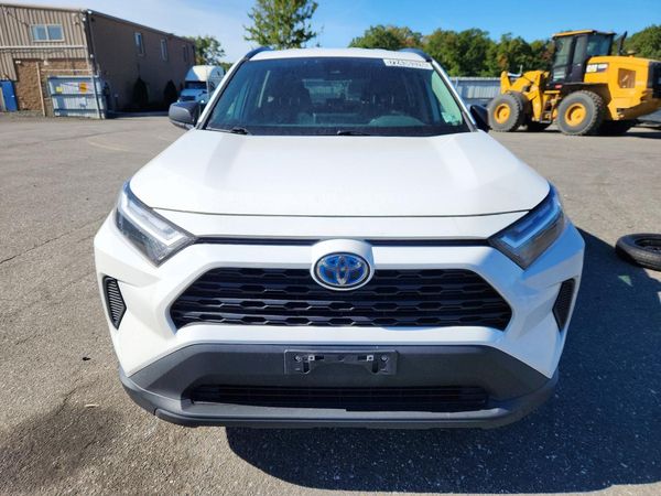 2024 TOYOTA RAV4 LE — DIRF