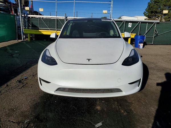 2023 TESLA MODEL Y — DIRF