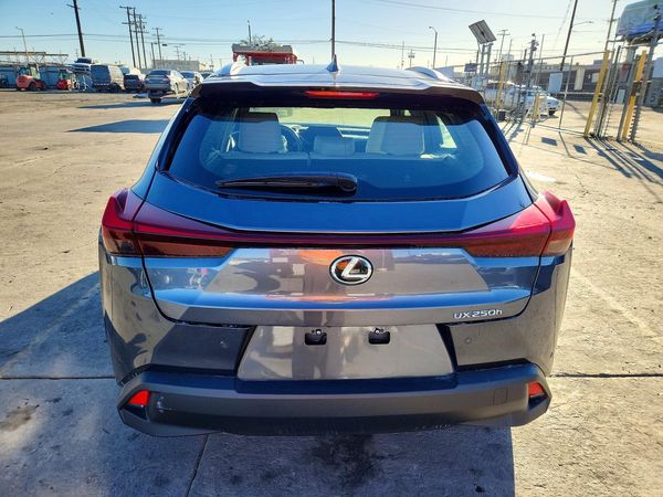2023 LEXUS UX 250H — DIRR