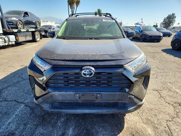 2019 TOYOTA RAV4 LE HV 4WD — DIRF