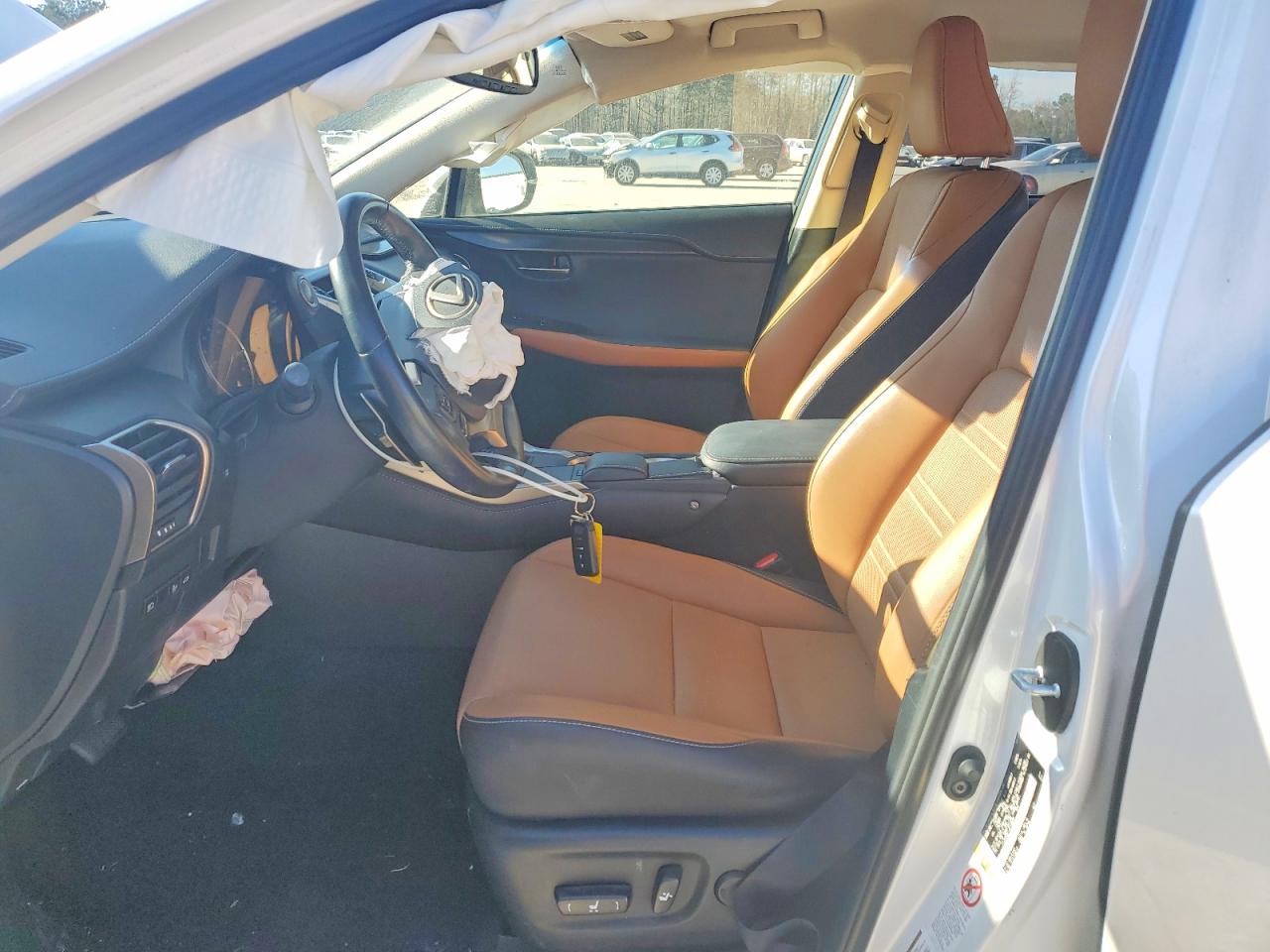 2018 LEXUS NX 300 Luxury