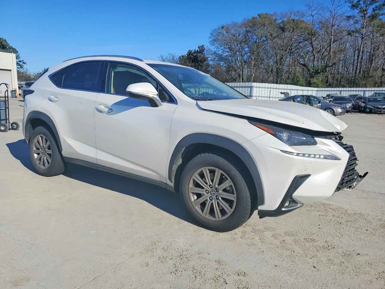 2018 LEXUS NX 300 Luxury