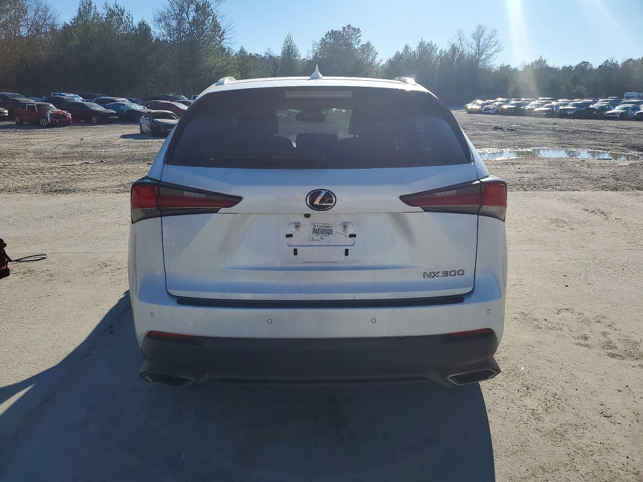 2018 LEXUS NX 300 Luxury
