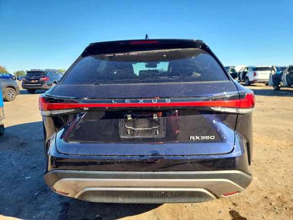 2024 LEXUS RX 350 — DIRR