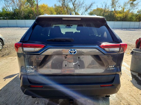 2019 TOYOTA RAV4 — DIRR