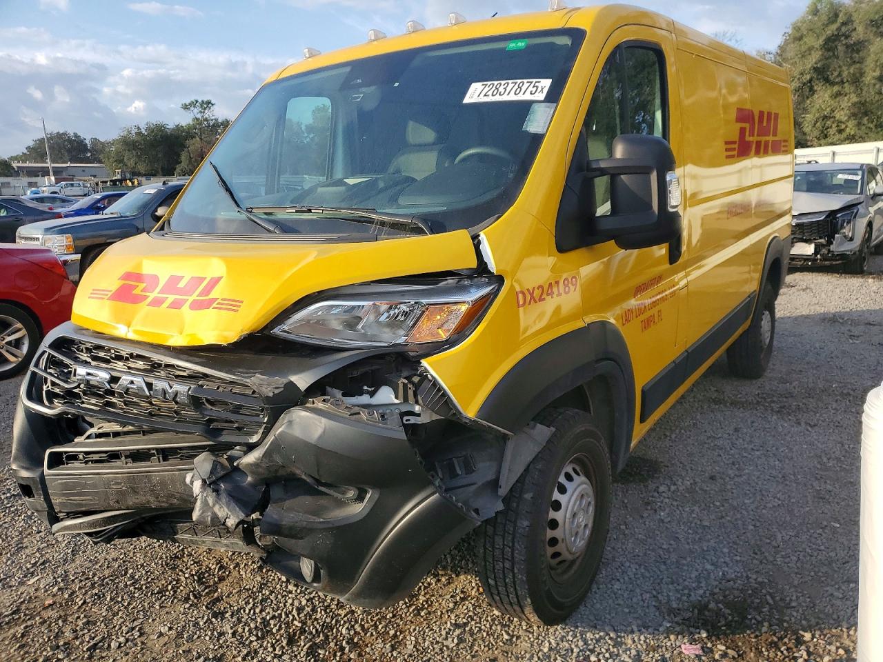 RAM PROMASTER